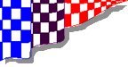 flagl.jpg (4423 bytes)